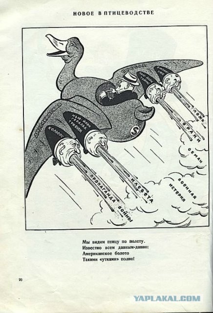 Так в ОАЭ встречают российскую делегацию