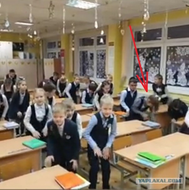 И выглянуло солнышко