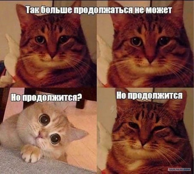 "Пятёрочка" наш!
