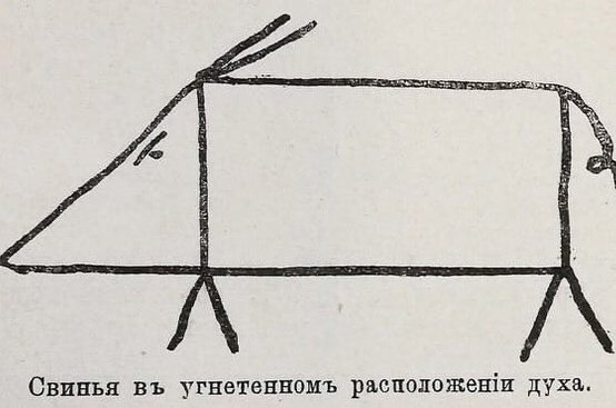 Живой пример глобализации
