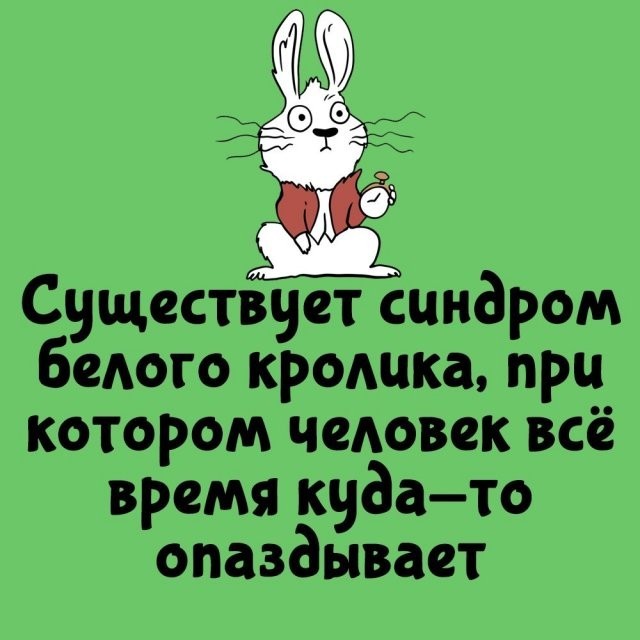 Подборка интересных фактов на все случаи жизни