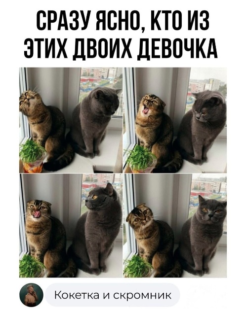 Так себе картинки 11.10.24