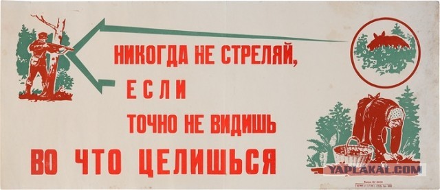 В Свердловской области охотник застрелил девушку, приняв ее за косулю.