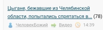 Цыгане, бежавшие из Челябинской области, попытались спрятаться в Нижегородской, но не получилось