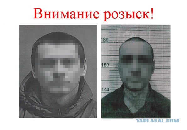 В Сочи задержали подозреваемого в краже денег у клиентов депозитарного центра — им оказался исполнительный директор депозитария