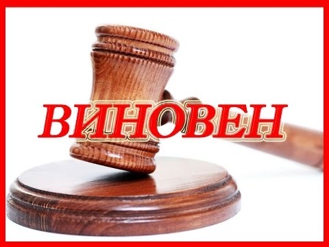 Кто виноват?