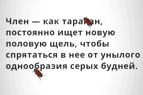 Веселые картинки в понедельник (19.05)