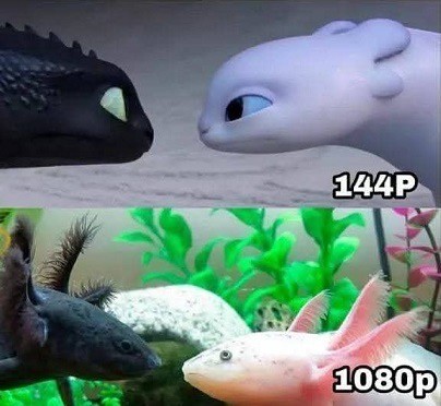 Веселое настроение в картинках (11.08.2025)