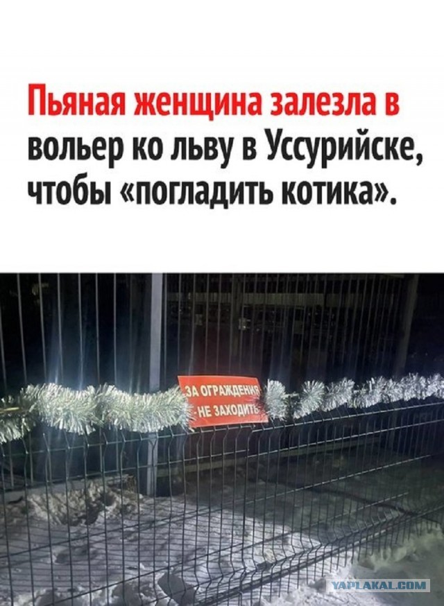 Так себе картинки 22.08.25