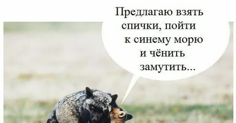 Зажигалки в России будут продавать только по паспорту уже с 1 сентября