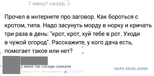 Кот и крот