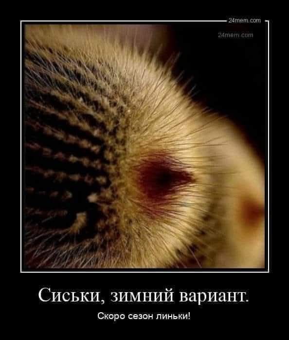 Картинки для деградации 61 (разной степени свежести)
