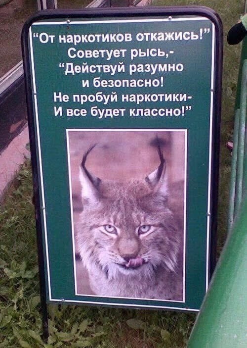 Пятничные картинки