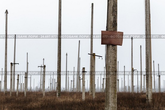 Провайдеры заявили о массовом демонтаже их оборудования на опорах «Россетей»