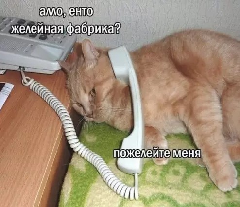 Котямбосы