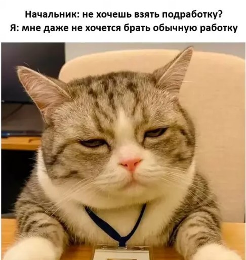 Картиночки, баянчики 26 апреля