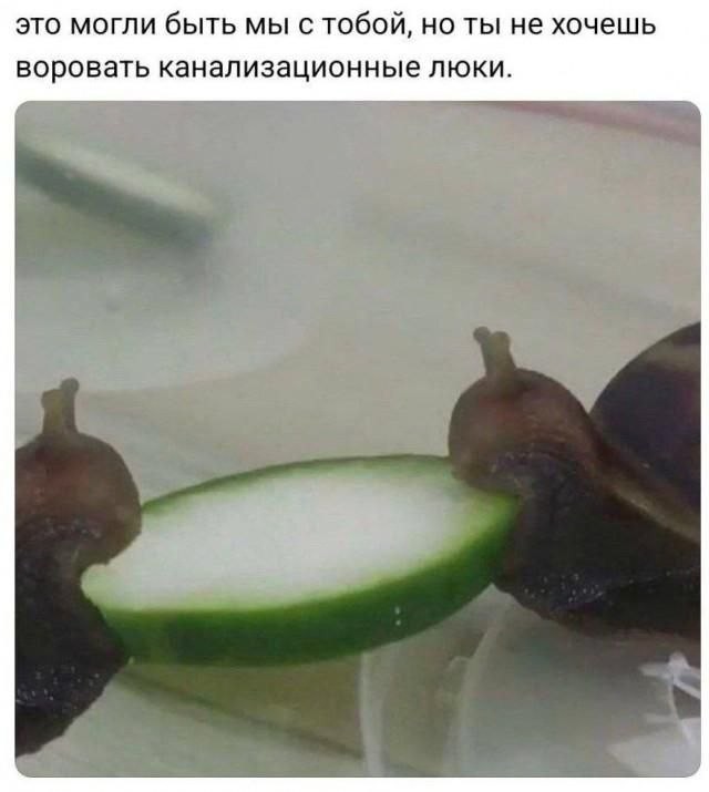 Если что-то может быть понято двояко — оно будет понято неправильно