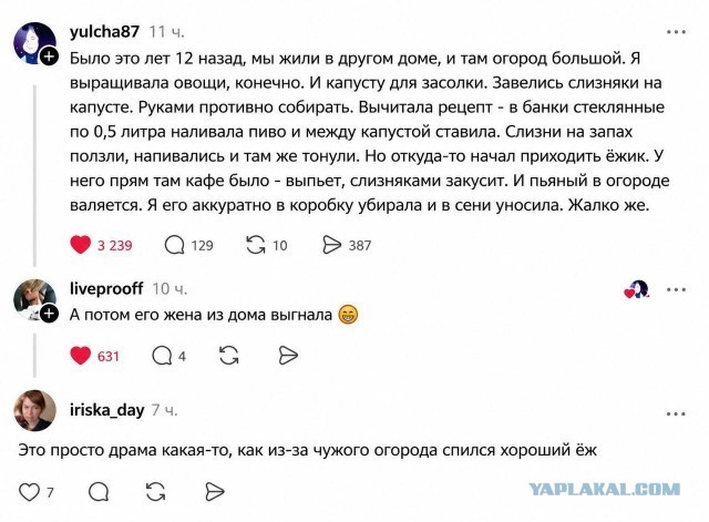 Картинки для деградации 238 (разной степени свежести)