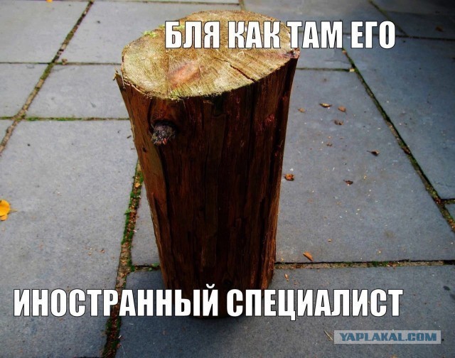 Анекдот дня: набравшего 300 баллов на ЕГЭ выпускника не взяли на бюджетное место в университете