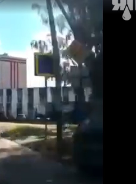 Услада для глаз