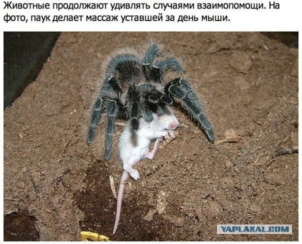 По Ленинградке с ветерком