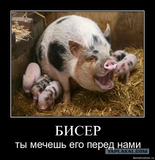 Раненый «беркутовец» о майдане