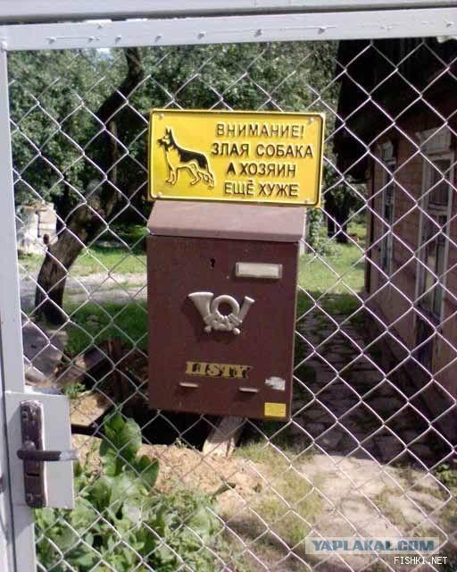Все, все злые!