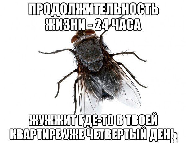 Немного позитива на пятницу.