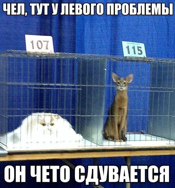 Снова картинки (что-то взгрустнулось)