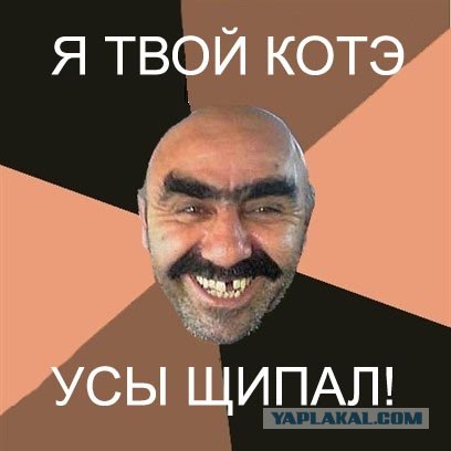 Чинно и благородно расшатал