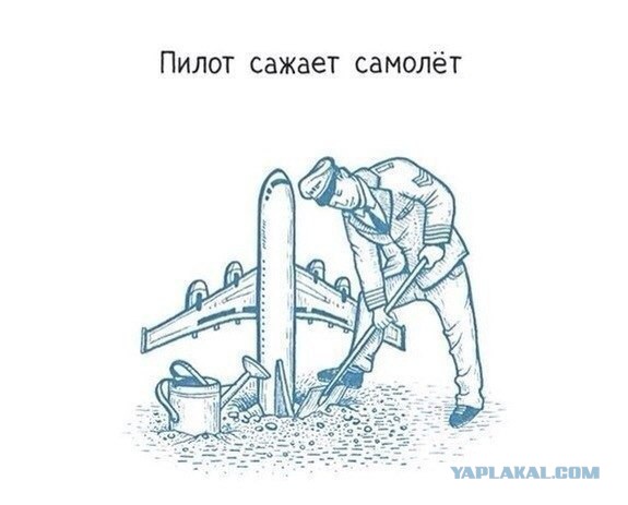 Игра слов или приступ наркомана
