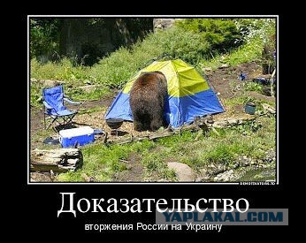 Не знаю, как назвать. Из соцсетей
