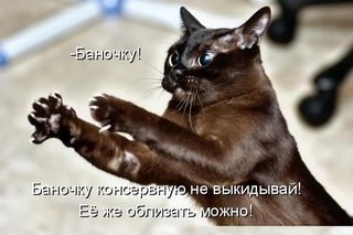 Как тратить на еду 7 тысяч рублей в месяц