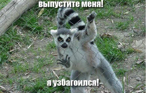 Забавные картинки из интернетов