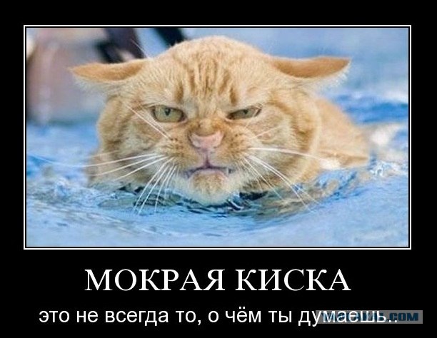 Намеки бывают разные