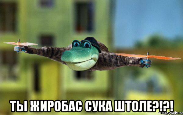 Жирная злюка