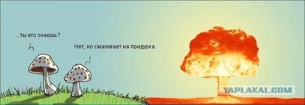Любимая ГРИБОСРЕДА – опять нас радует всегда!