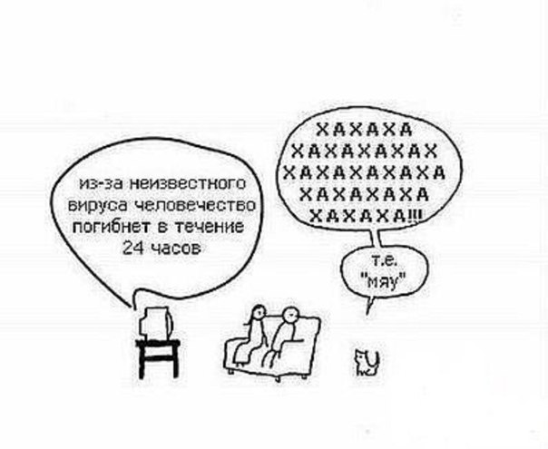 Коты они такие