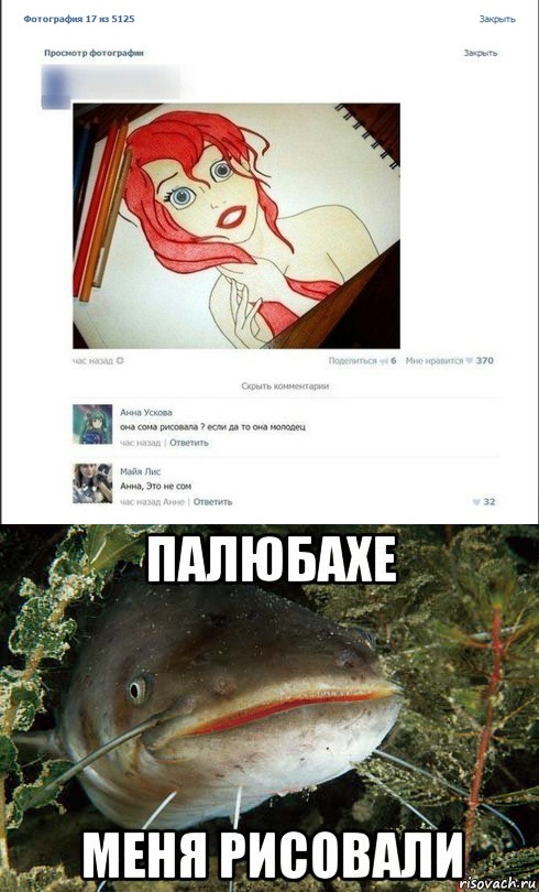 Смешные комментарии из социальных сетей