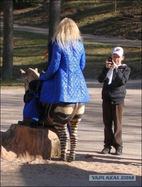 Показалось