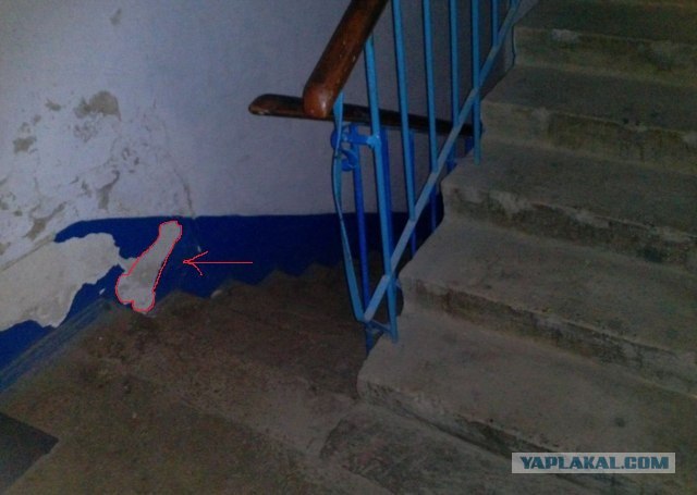 Как живут японские менеджеры средней руки