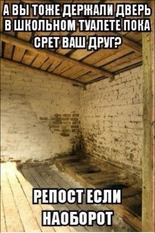Туалеты в разных уголках планеты