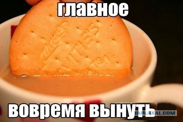 Немного картинок и демотиваторов