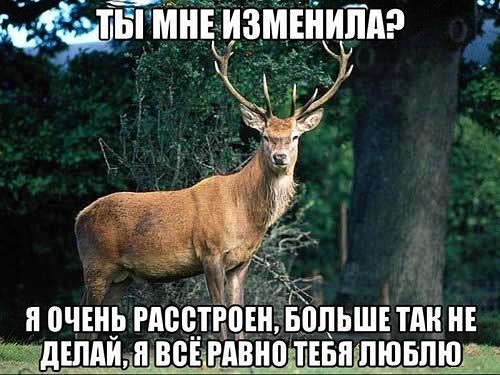 Лажа с женой