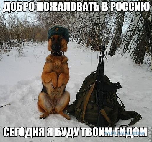 Картинки на пятницу