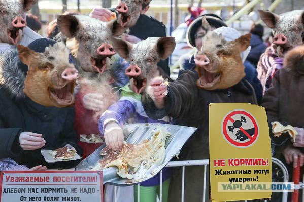 Беженцы пообедали