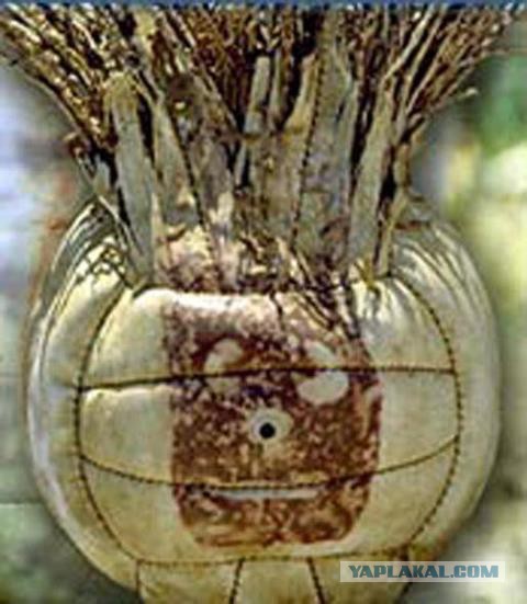 Практика делает совершенным