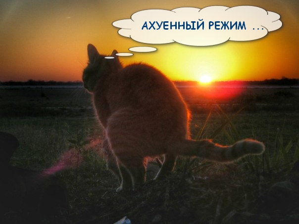 Wargaming 34