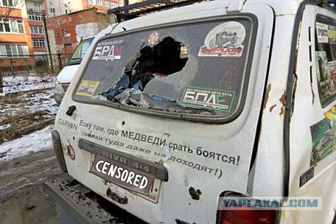 Зарубил Ниву топором