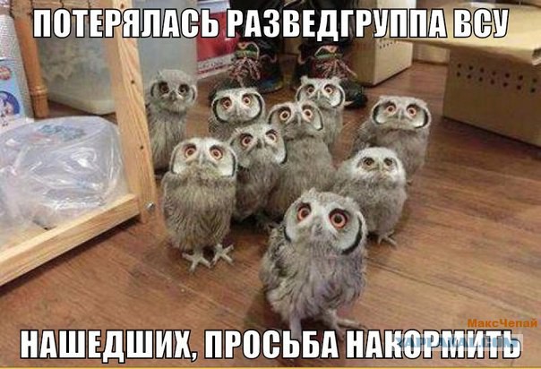 Смешная политота для среды
